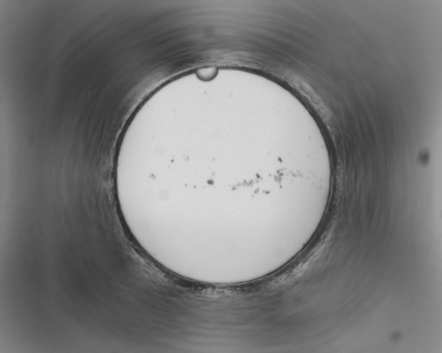 X0000116861089201001121236