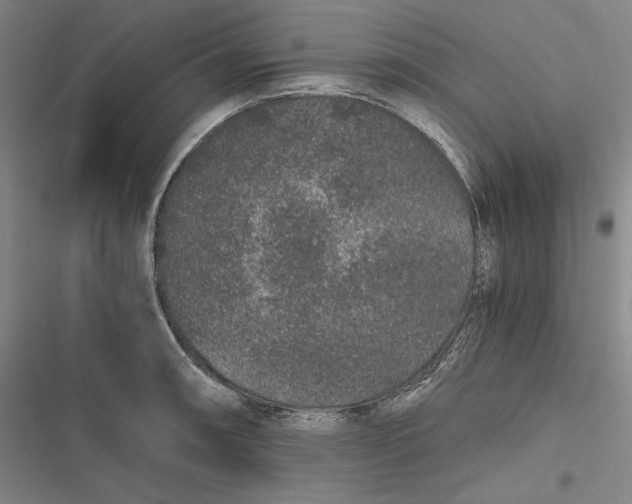 X0000116861090201001121236