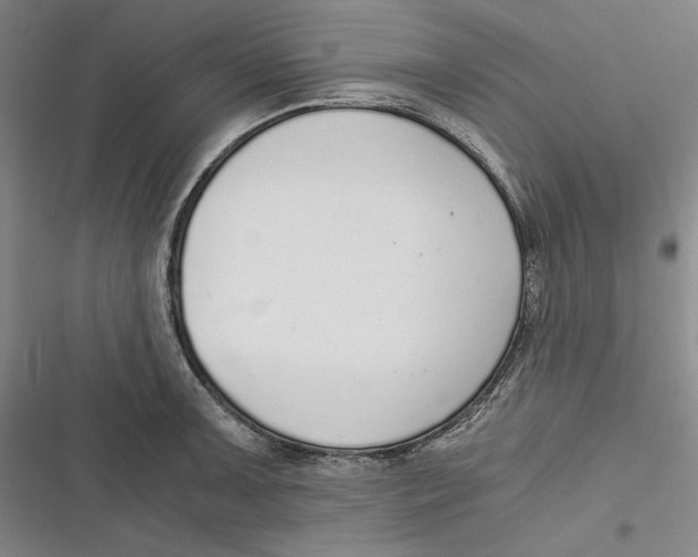 X0000116861091201001121236