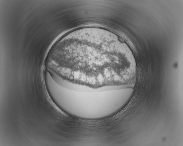 X0000116861092201001121236