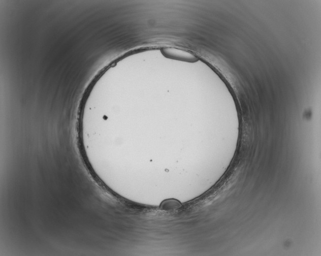 X0000116861093201001121235