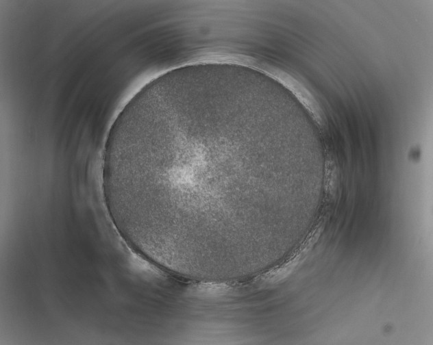 X0000116861094201001121235