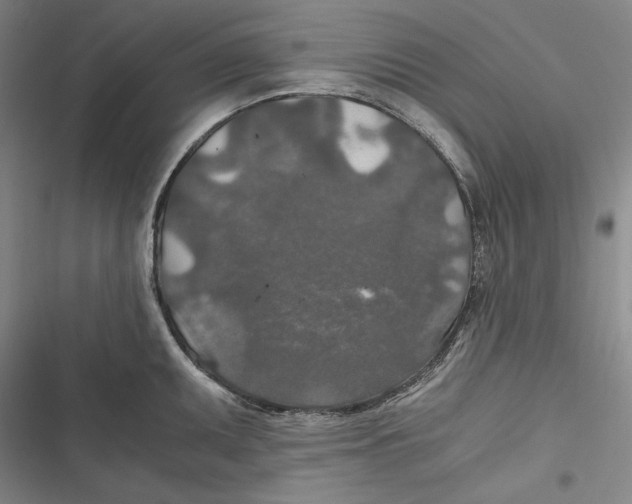 X0000116861095201001121235