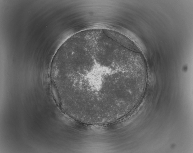 X0000116861097201001121235