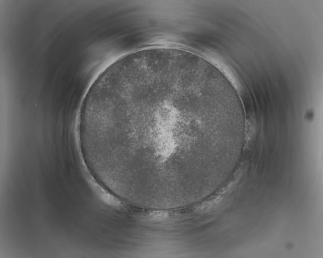 X0000116861098201001121235