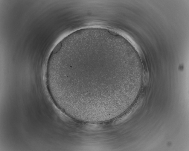 X0000116861101201001121235