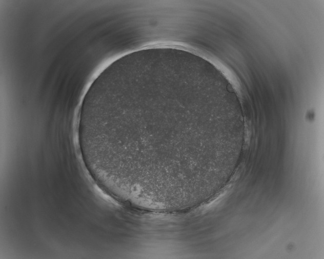 X0000116861102201001121235