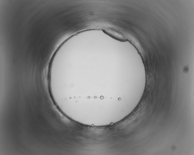 X0000116861103201001121235