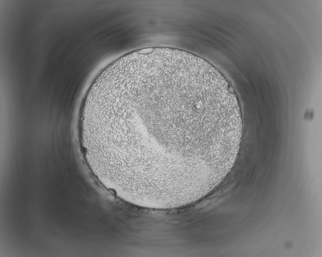 X0000116861104201001121235