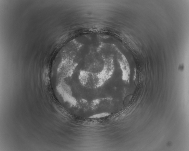 X0000116861106201001121235