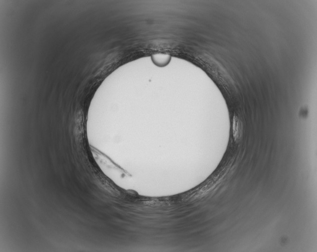 X0000116861107201001121235