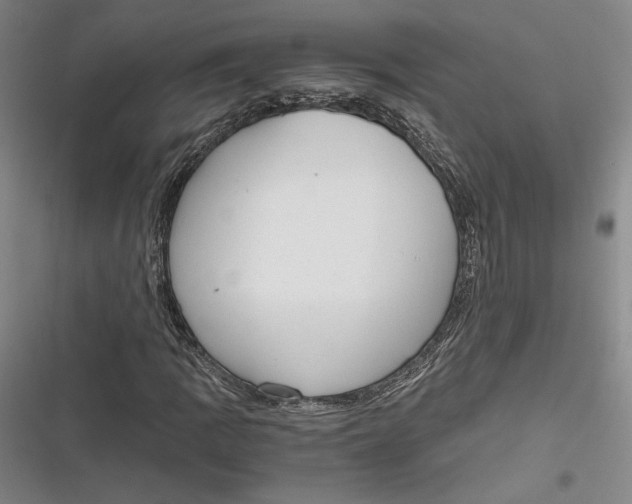 X0000116861109201001121235