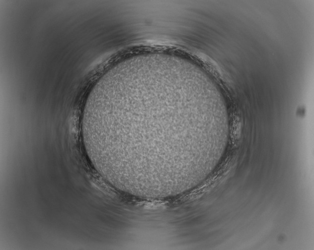 X0000116861110201001121235