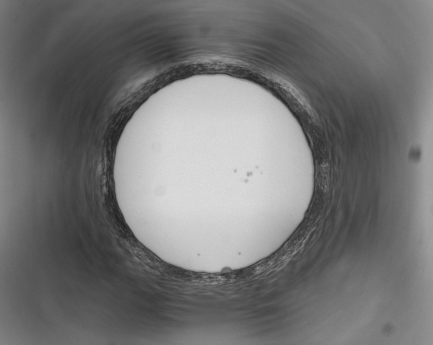 X0000116861111201001121235