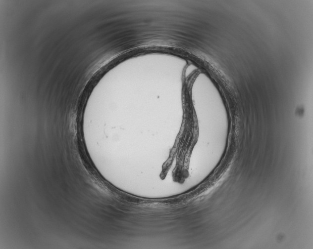 X0000116861113201001121235