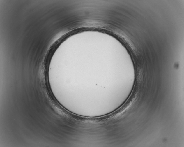 X0000116861114201001121235