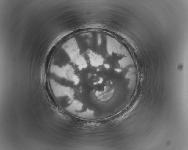 X0000116861117201001121235