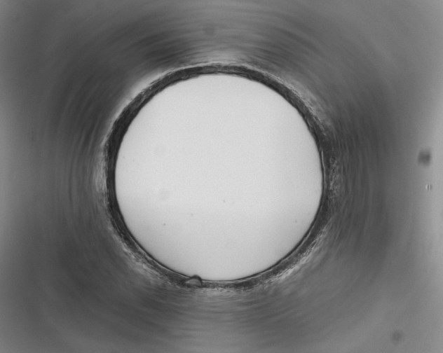 X0000116861118201001121235