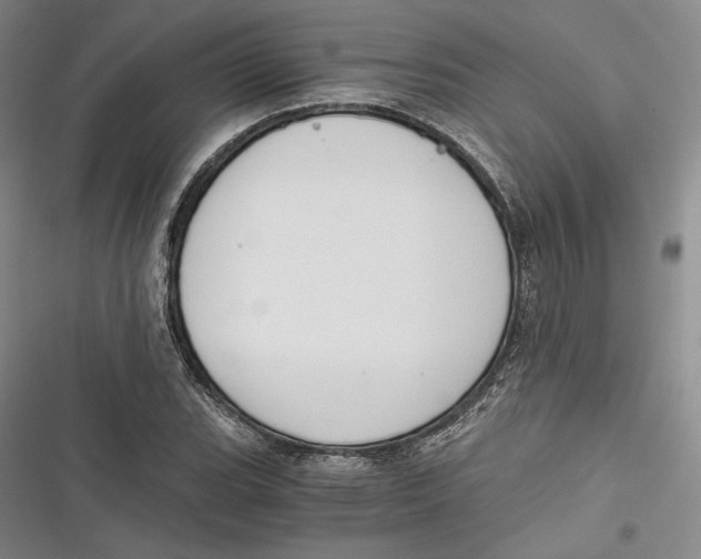 X0000116861119201001121235