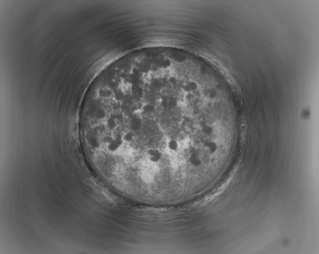 X0000116861121201001121235