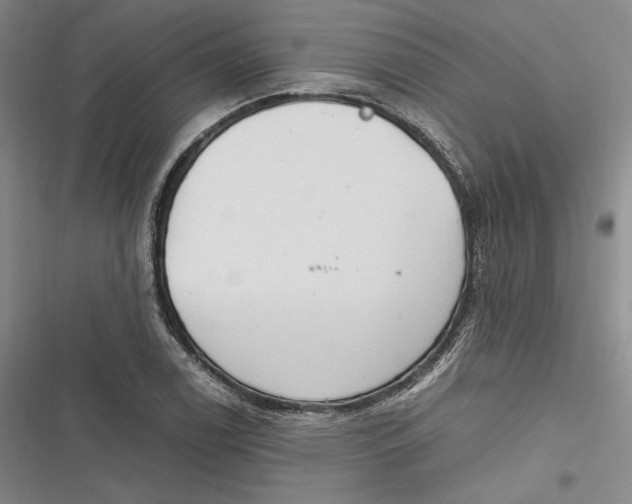 X0000116861122201001121235