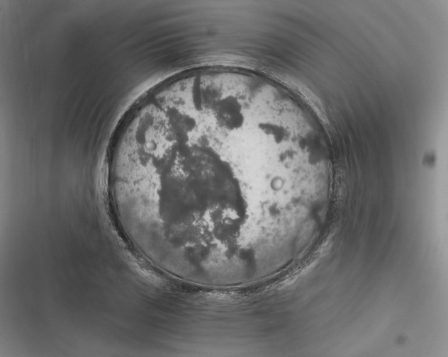 X0000116861125201001121235