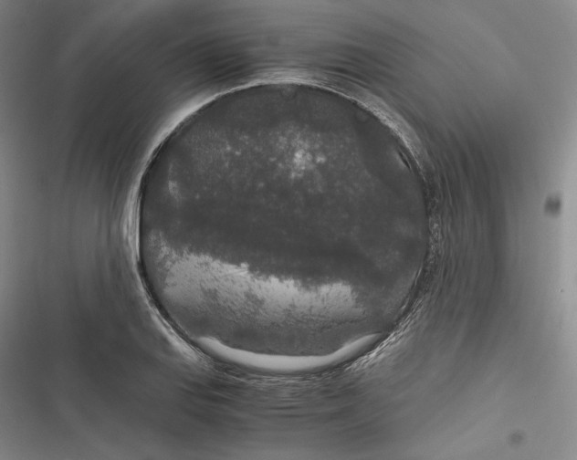 X0000116861127201001121235