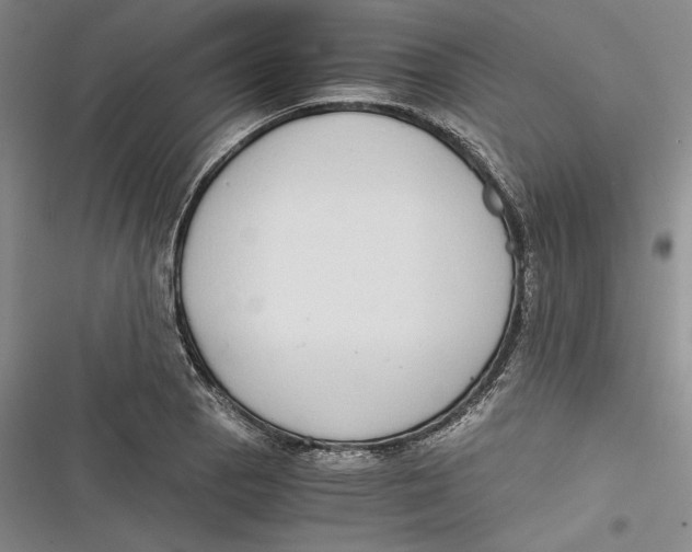 X0000116861129201001121235