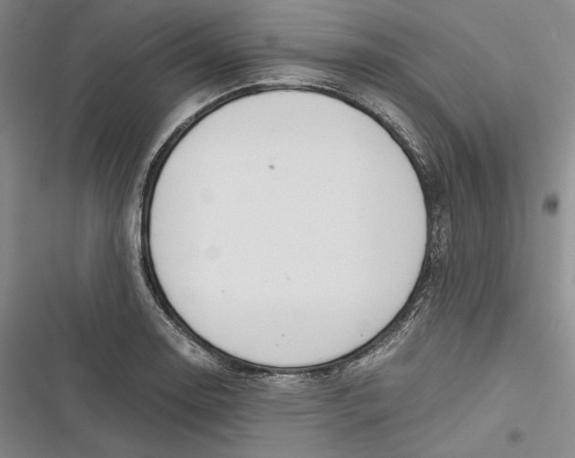 X0000116861130201001121235