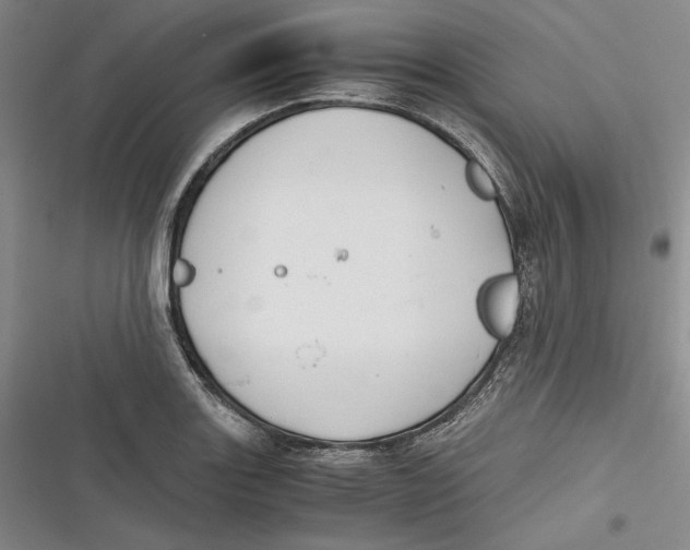 X0000116861131201001121235