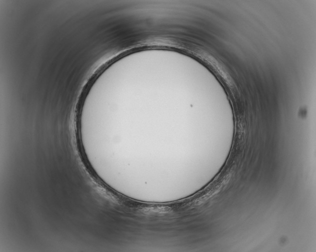 X0000116861133201001121235