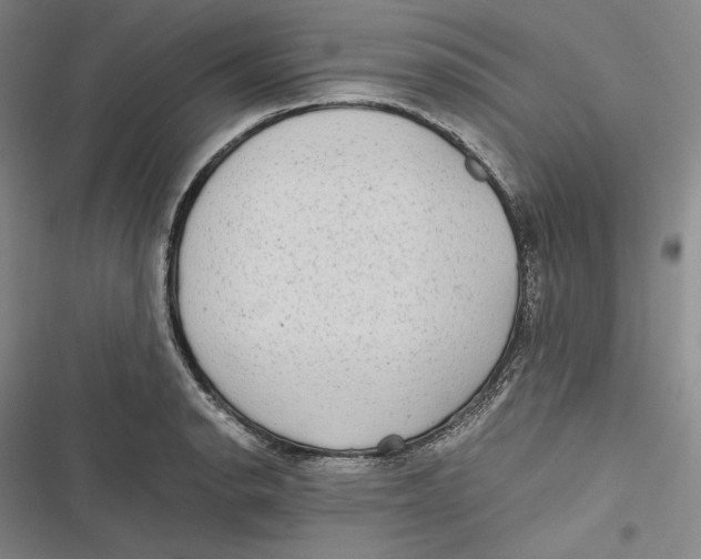 X0000116861134201001121235