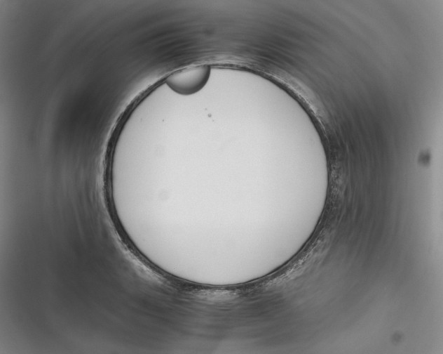 X0000116861135201001121235