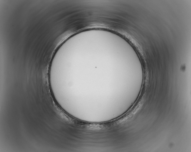 X0000116861137201001121235