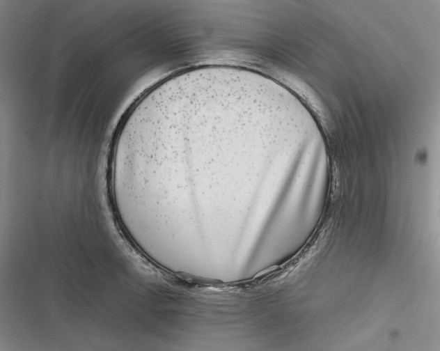 X0000116861138201001121235