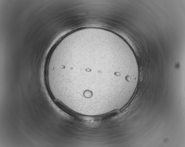 X0000116861139201001121235