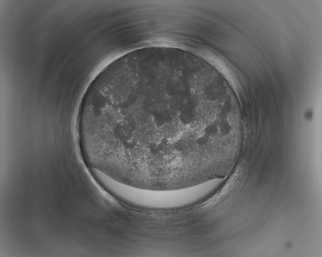 X0000116861141201001121235