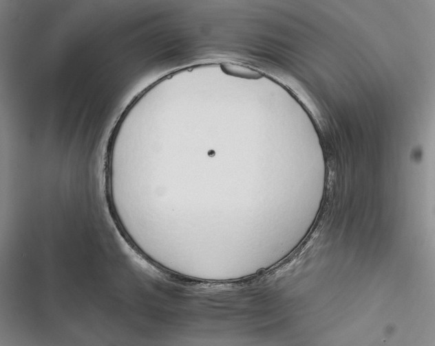 X0000116861143201001121235