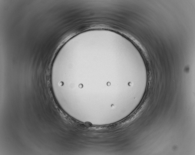 X0000116861145201001121235