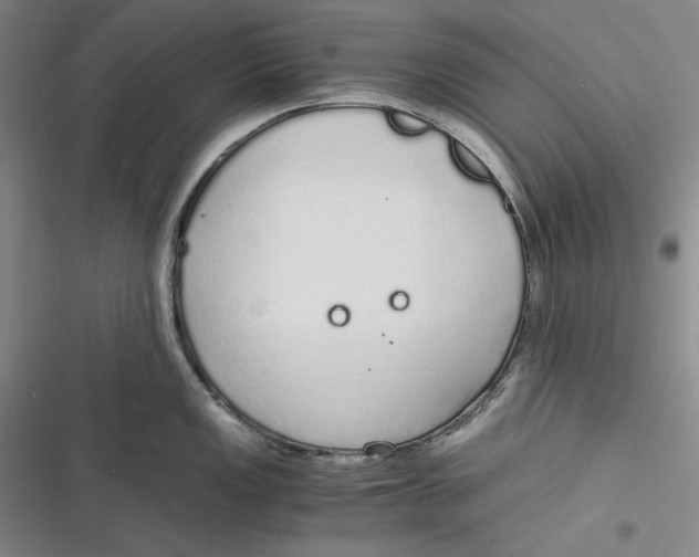 X0000116861149201001121235