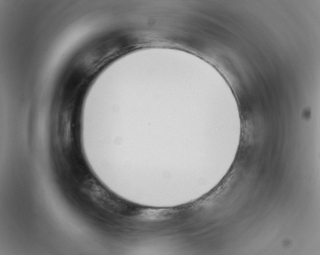 X0000116861150201001121235