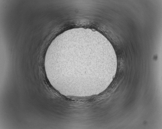 X0000116861153201001121235