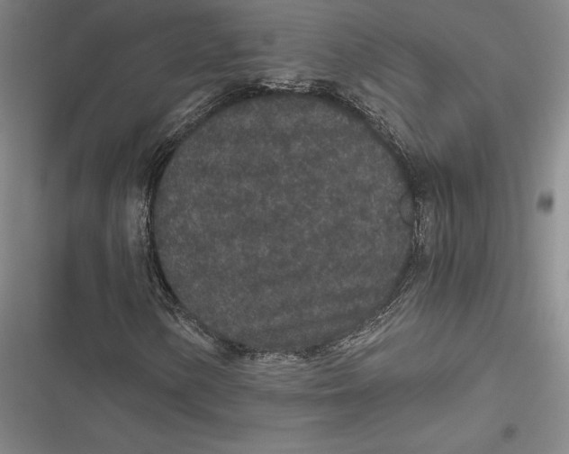 X0000116861154201001121235