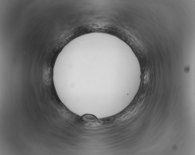 X0000116861156201001121235