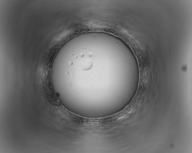 X0000116861157201001121235