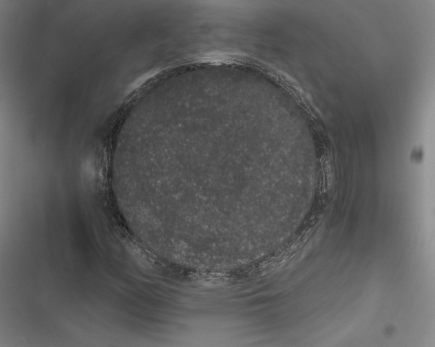 X0000116861158201001121235