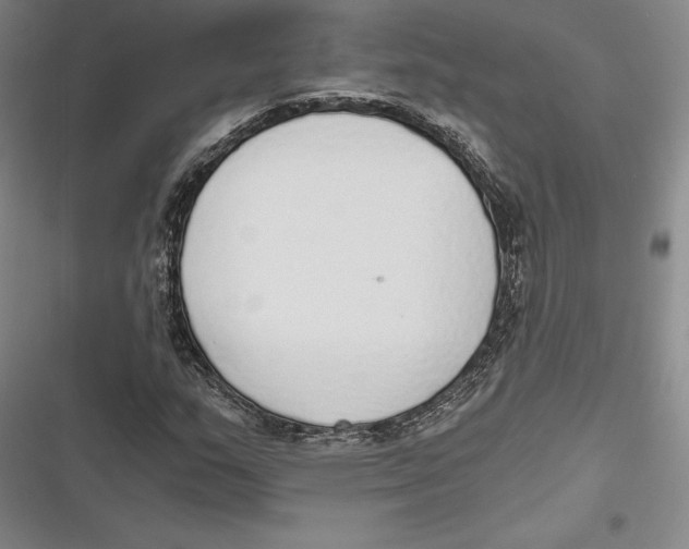 X0000116861159201001121235