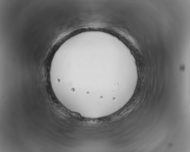 X0000116861160201001121235