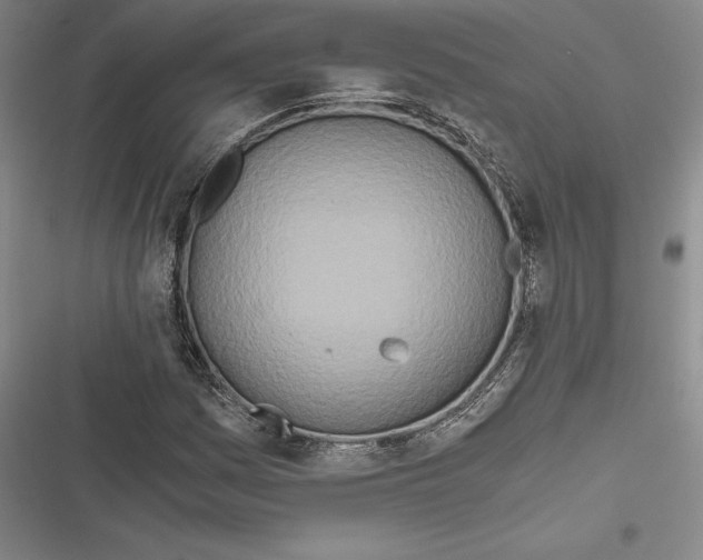 X0000116861161201001121235