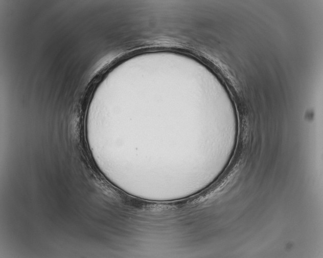 X0000116861163201001121235